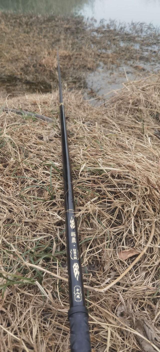 大板|坚持不懈,喜获大板鲫