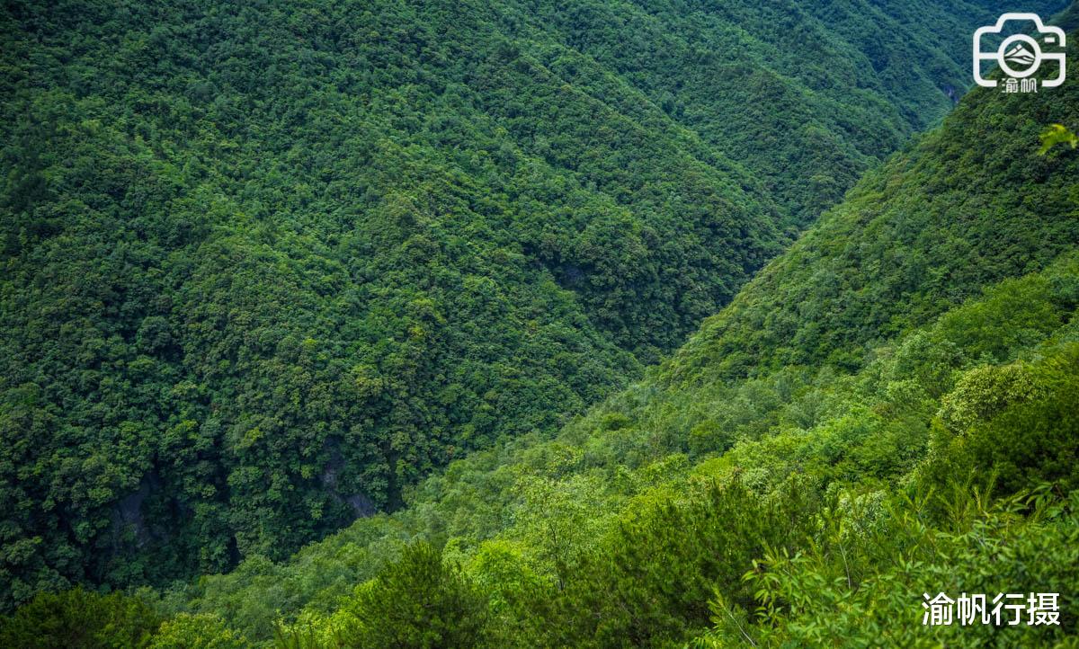 草原|郑渝高铁即将开通，奉节旅游环线终于藏不住了，先随渝帆来看看