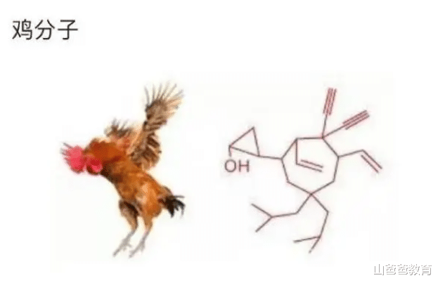 科学家起名字能多随便?比“狗剩”强不到哪里,看了能笑出鹅叫声