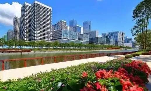 深圳市|深圳游记之十七～大沙河公园
