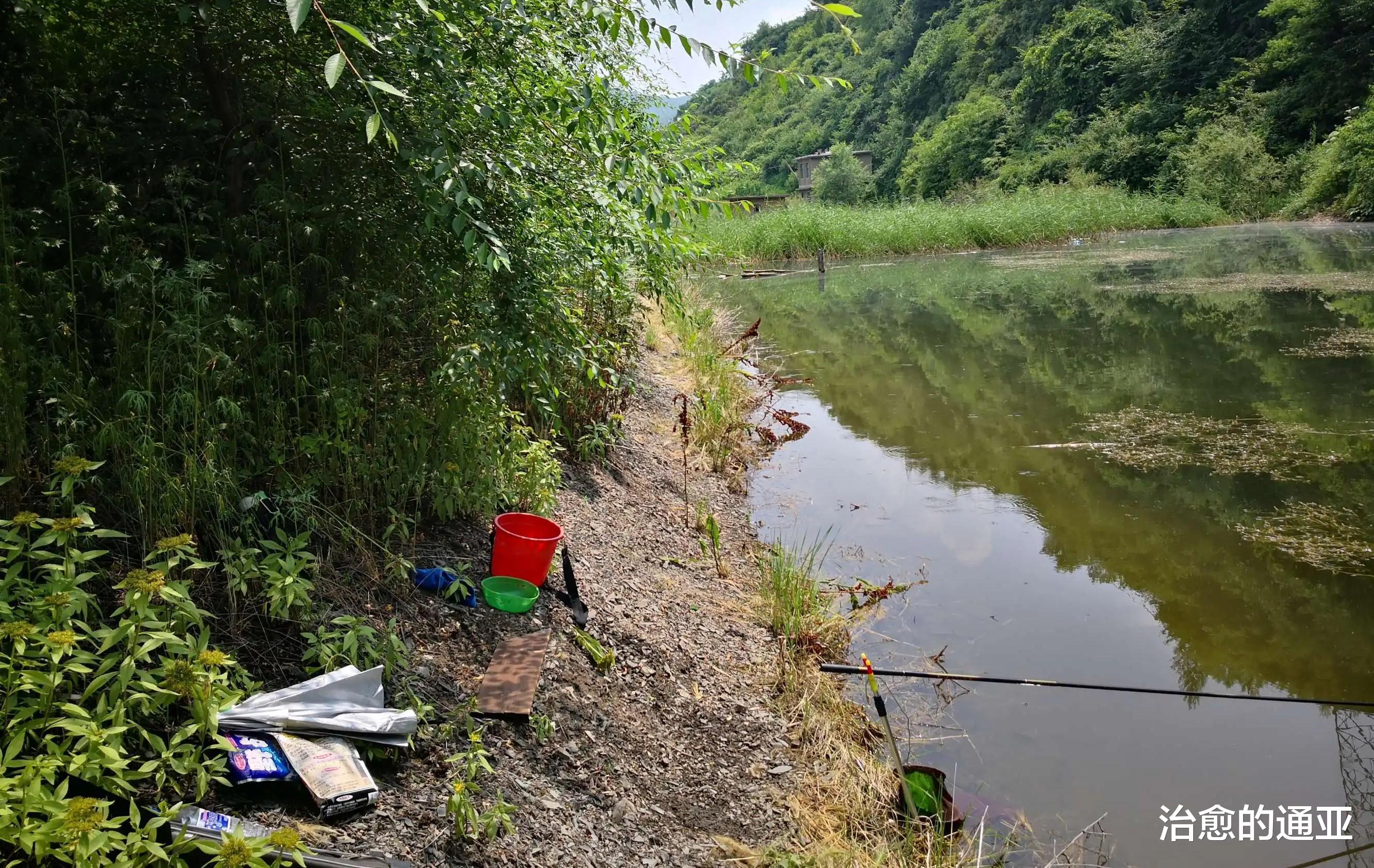 蜂蜜|台钓和传统钓，存在的4个误区，哪个更适合野钓