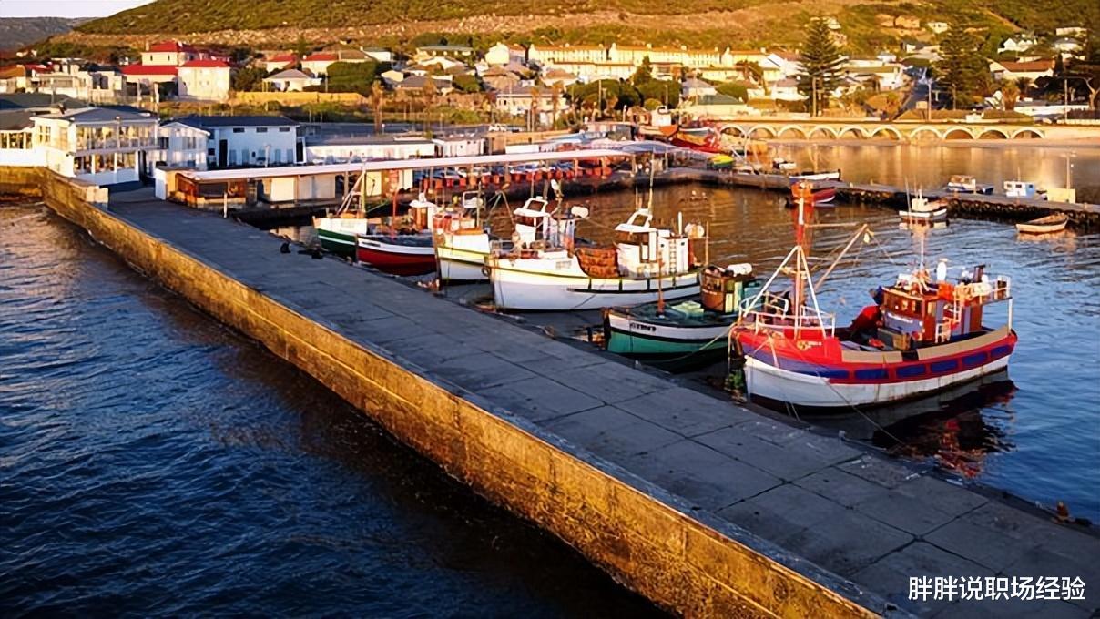 裁员潮|职场中,谁说善良人生存不了,只要做好这三点也能够保护自己