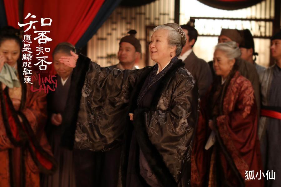 王大娘子|《知否》原著:为何说两次回宥阳的盛老太太,把“好”藏起来了?