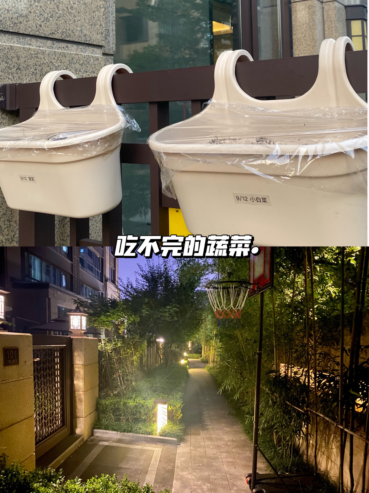 54㎡一楼小院，花6.5万改造成休闲小花园，楼上邻居都羡慕了