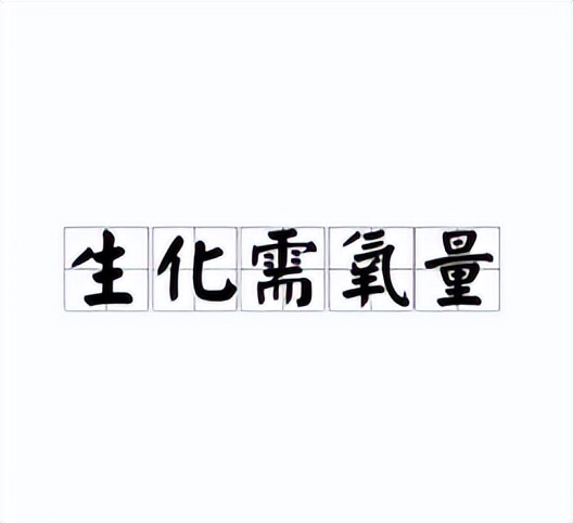 为什么别人家的氨氮不超标?