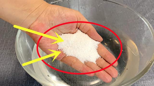 蟑螂药别再花钱买了!教你一个小妙招,安全无毒,1天蟑螂全灭光