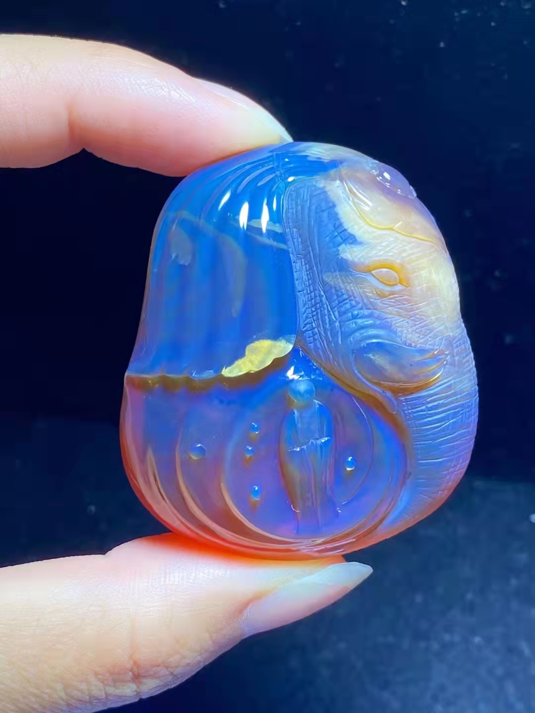 中药|琥珀是中药,但你不能咬着吃啊!!!