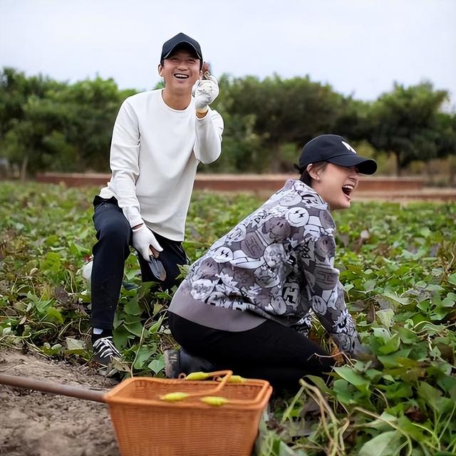 |孙俪的“豪宅”火了，院内摘菜，体验生活，粗茶淡饭，乐在其中