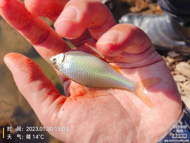 |带娃钓鱼两不误，与娃共度美妙时光！