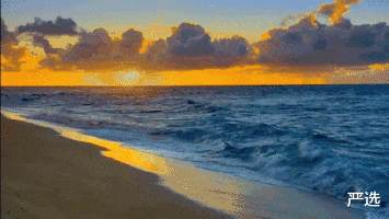 “洗衣粉”和“洗衣液”到底哪个好?不看不知道,“差距”很大