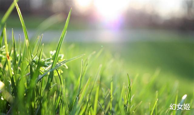 小小的蜱虫,危害大,如何尽可能避免,被咬后又如何处理?