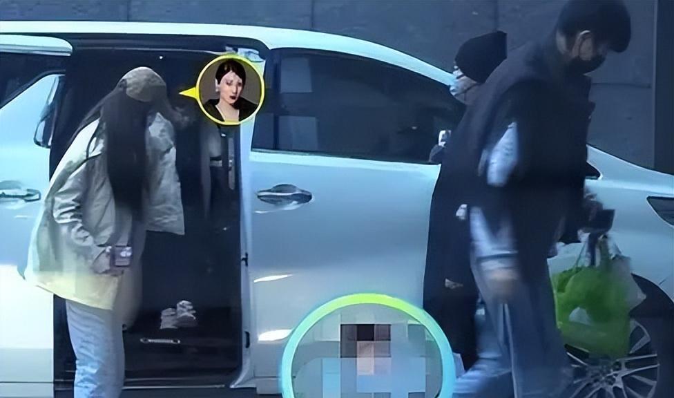 张雨绮|张雨绮:4段感情皆失败,35岁带着双胞胎,自称不再追求婚姻