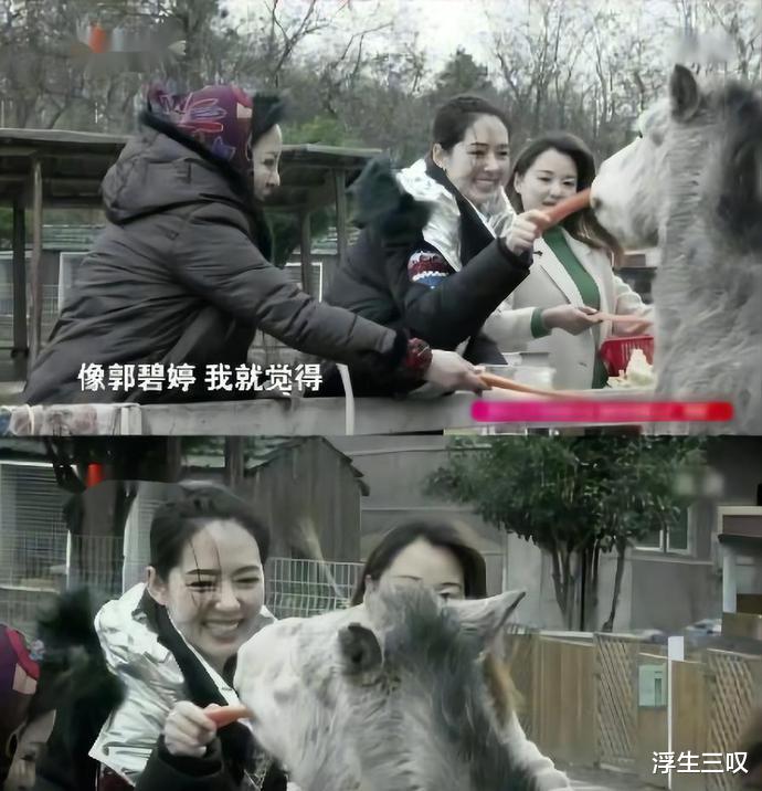 郭碧婷|向太选儿媳只看学历?黄婉佩不配入向家,凭什么郭碧婷就行