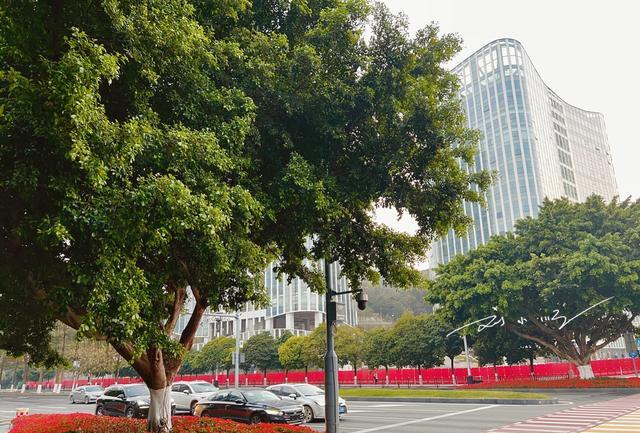购房置业|广州东部“最强新城”，众多高科技企业聚集于此，房价已突飞猛进