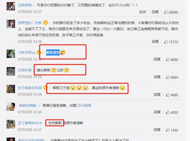 张子枫|张子枫又翻车了?硬凹文艺,原来是盗图!工作室道歉,网友不买账