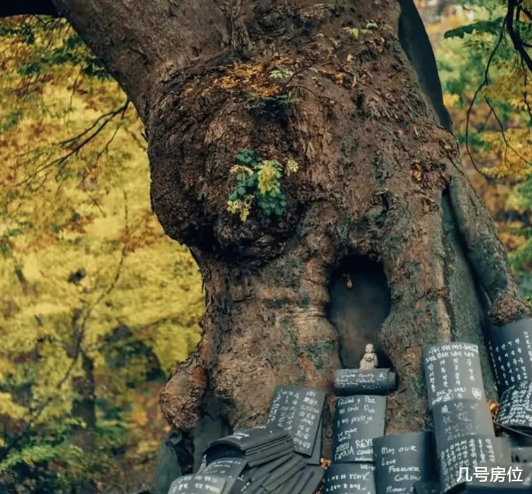 韩国|开放的“韩国”现状，带你看看真实的韩国