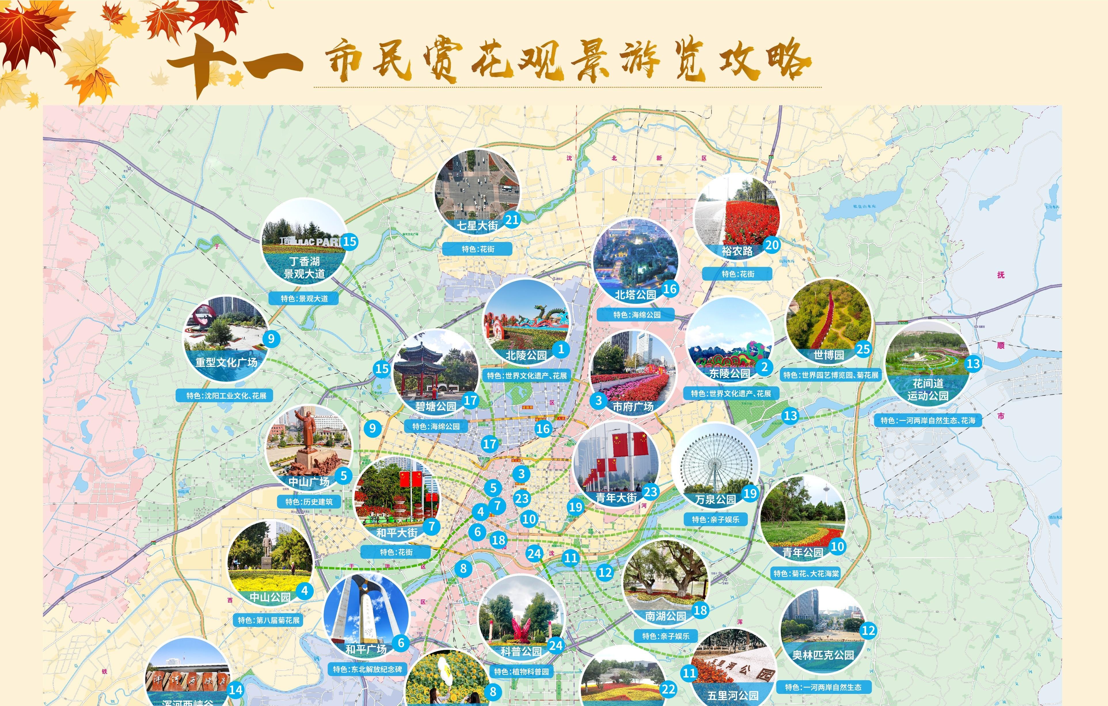 沈阳|“花海扮城、繁花似锦”，沈阳发布“十一”赏花观景攻略