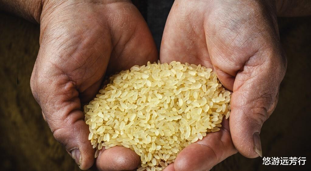 饵料|先别着急用红虫！秋天的鲫鱼只爱它！钓鱼初学者用了都能钓获板鲫