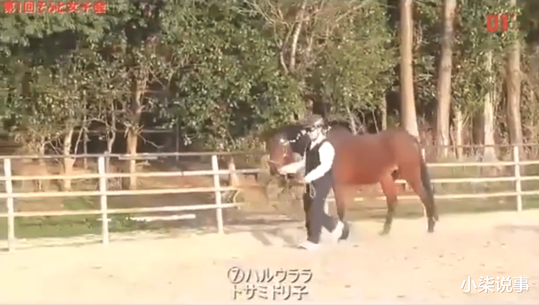 赛马场|她的爆红，狠狠甩了“只在乎赢”的社会一巴掌