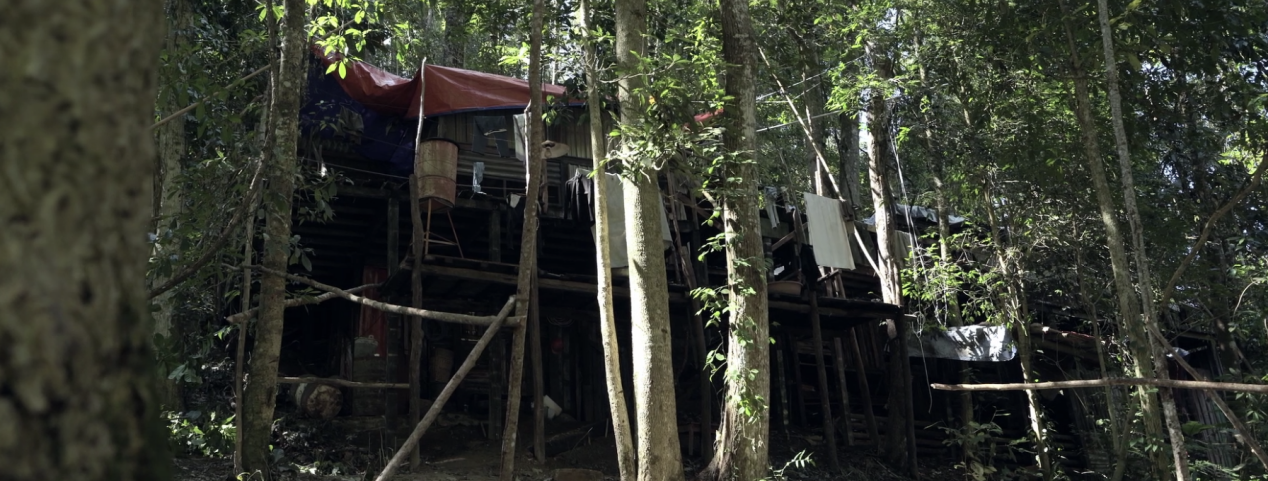 赵丽颖|迷雾剧场《淘金》明晚开播，硬汉廖凡花式被打冲击眼球！