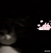 狗狗在雨夜不停吠叫，邻居好奇过去查看，却被狗子整破防了