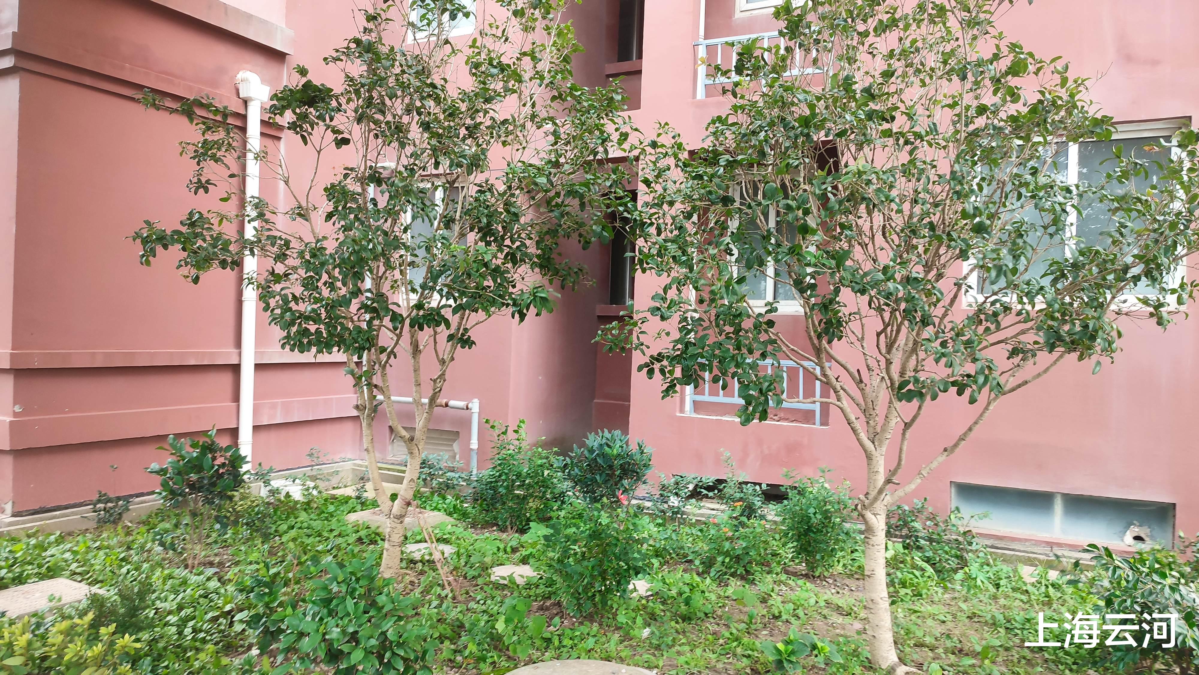 |一个只会用级别来压制下级的单位，有啥好留恋的呢？