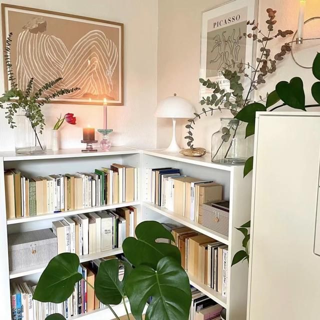 发现一30岁女主的家,全屋那叫一个精致,网友:一个人住太爽了!