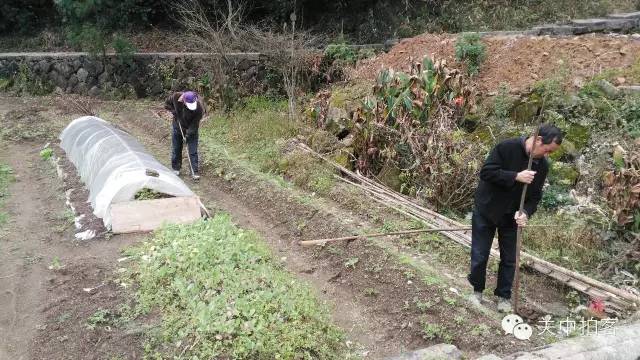 国兴寺考古记(5):申威隆教你用洛阳铲