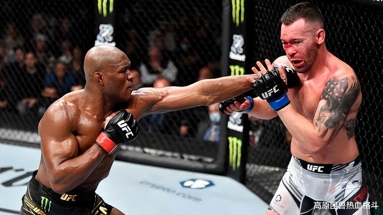UFC|大胆瞎掰！UFC狼王奇马耶夫现在打次中之王乌斯曼，有几成胜算？