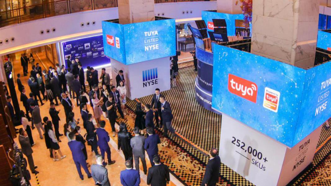 物联网|千亿小巨头，只剩零头