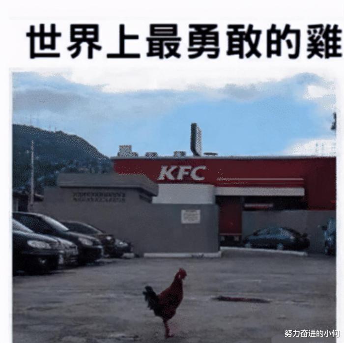 |“酒店卫生间开始有这种椅子了?这是用来干什么的?”