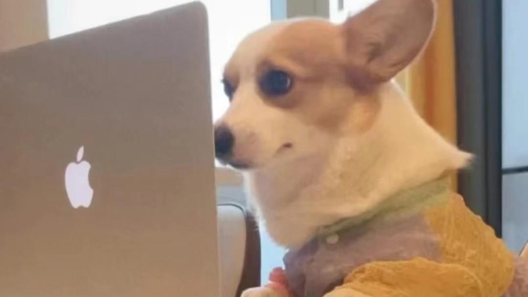 spring|为什么 Spring和IDEA 都不推荐使用 @Autowired 注解