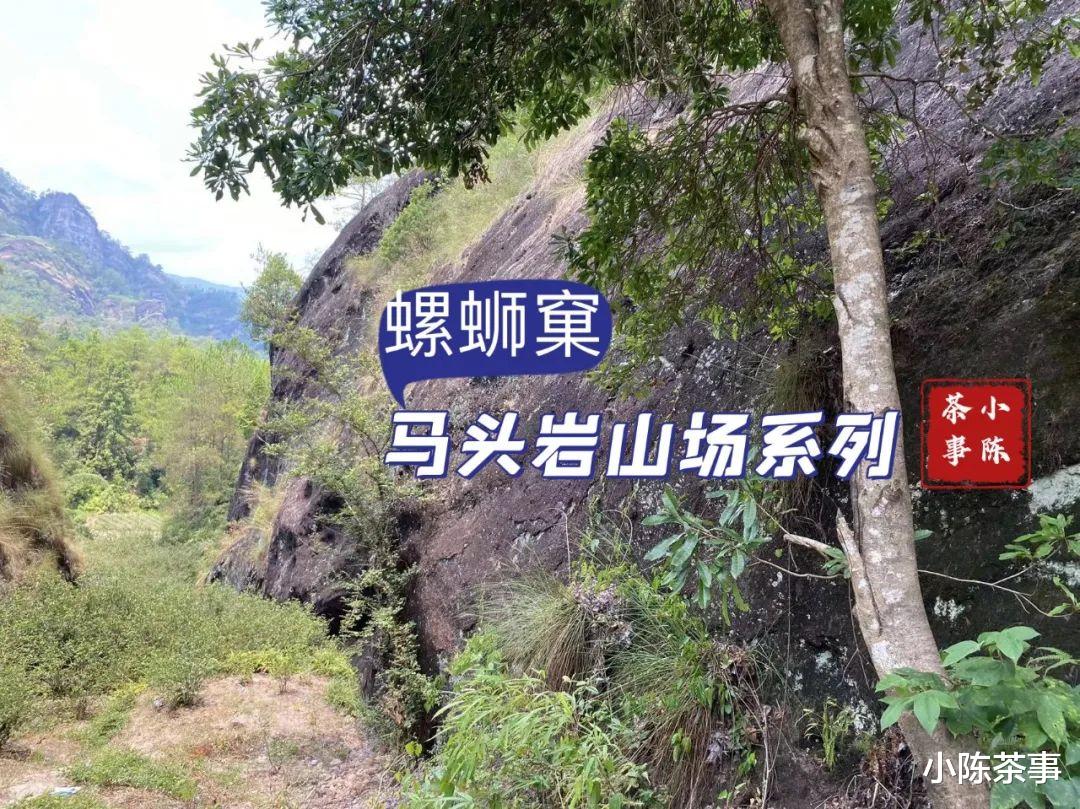 邮轮|开山坪、猫儿石、桃树窠，马头岩的山场究竟有哪几个？这是个谜团