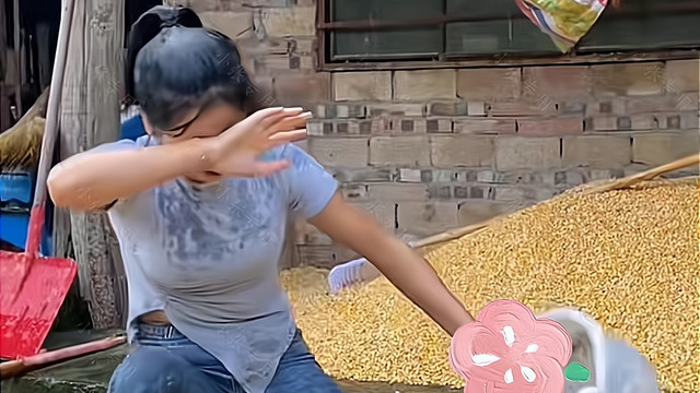 女子在雨天抢收晾晒的玉米，家人不帮忙，还嘲笑她像落汤鸡