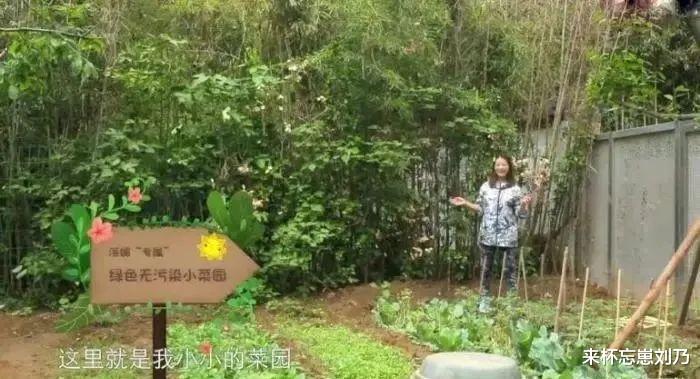 黎耀祥|11位定居内地的过气香港艺人,个个有钱,买豪宅豪车娶富婆