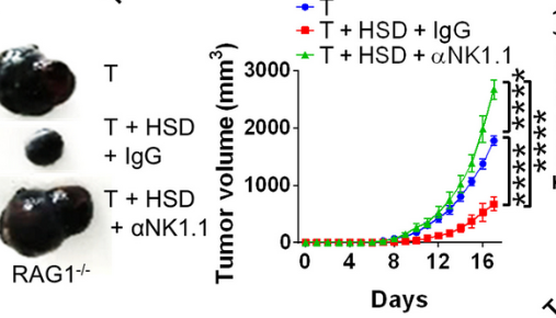 饮食|颠覆认知：权威研究发现高盐饮食可以抑制肿瘤？盐到底要怎么吃？