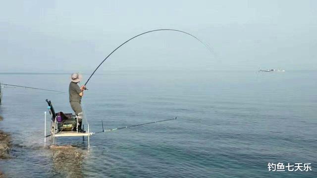 清明节|为“高价”鱼竿买单，到底值不值？钓鱼人需要擦亮眼睛