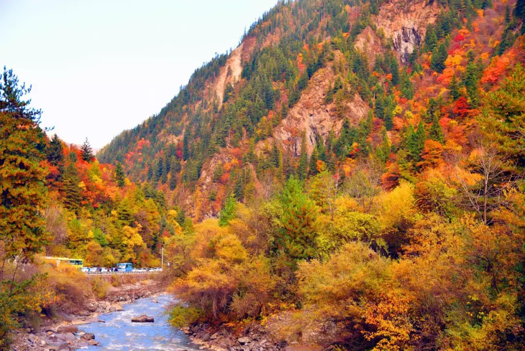 洛阳|再过半月!成都周边这个仙境,拥有最完美秋天