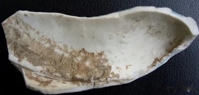 蜘蛛|贾宝国一真一假说瓷器(X130-仿湖田窑蟾盂)