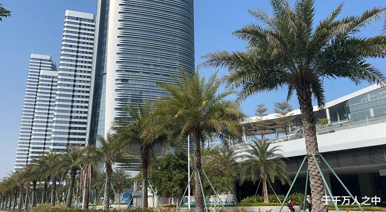 家产|香港豪门霍家争家产风波再起。原因就是广州南沙一块3.3万亩的地块51%的股权？