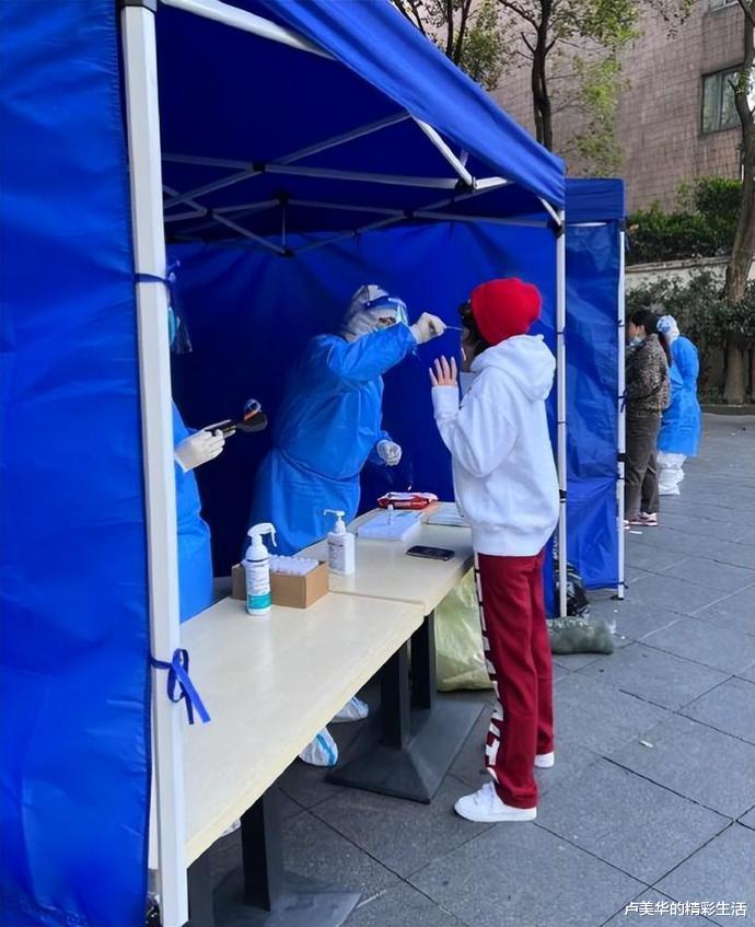 刘嘉玲|刘嘉玲在上海的豪宅火了，生活精致追求细节，连沙发都带有刺绣