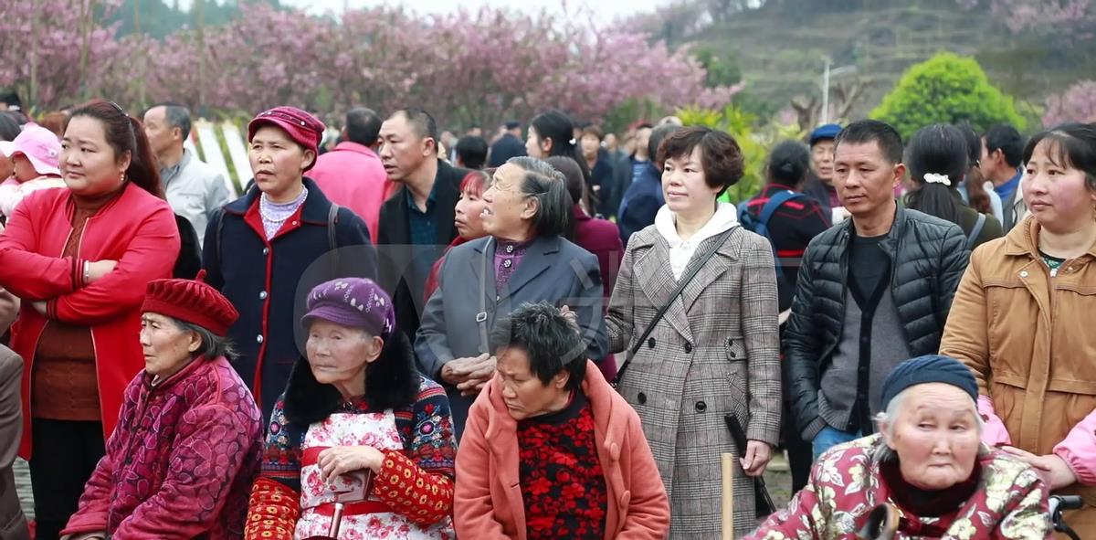 2016年,女子怒问小姨:为何抢我丈夫,小姨:他欠我两百万
