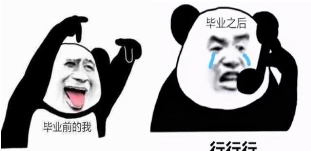 龙子湖|最难毕业季实至名归,毕业生无奈表示:别再逼了,已经在卷