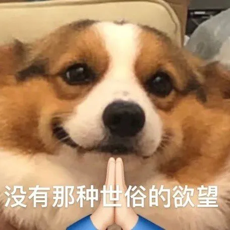 |痞幼玩开团梗闹乌龙，遭某粉丝群体狂喷后发文道歉