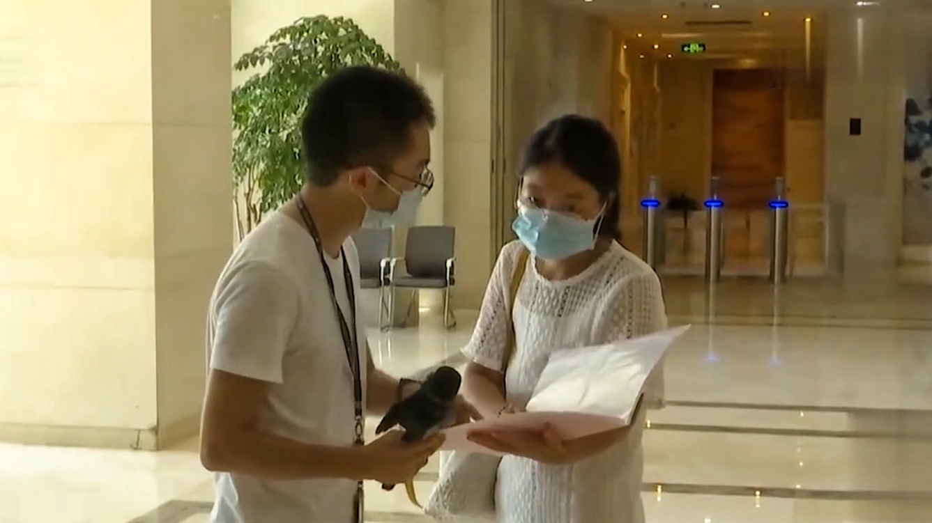 幼儿园|面试时隐瞒怀孕事实,女子入职后被公司辞退,老板怒吼让她滚出去