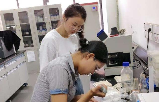 大学生|老师让填“寒假留校理由”，00后大学生太耿直，同学称其“壮士”