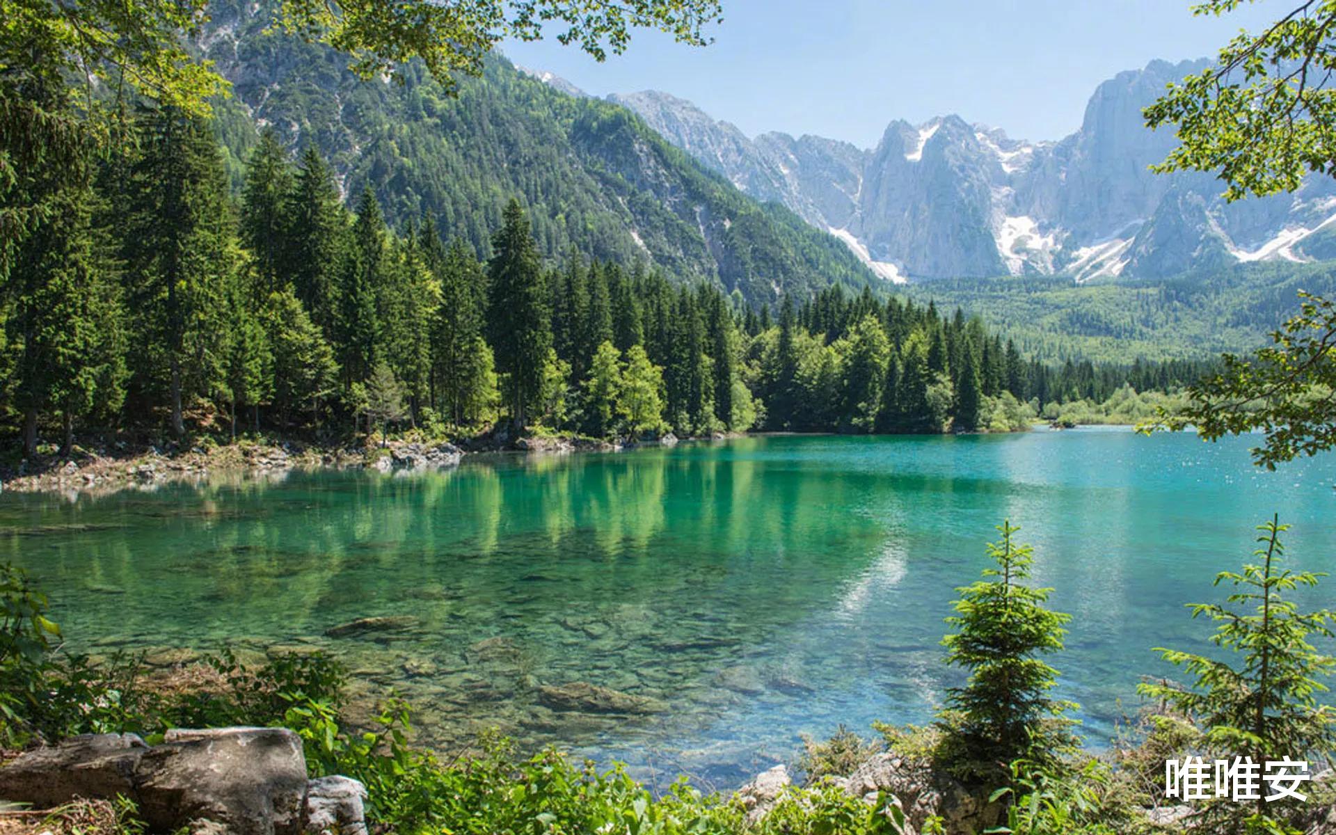 |在单位,活得太“真”的老实人,很吃亏