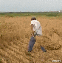 租的房子不隔音是一种什么样的体验?看完网友的评论,笑岔气了