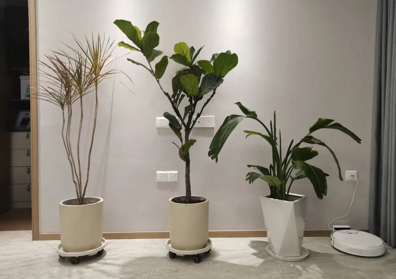 10个普通物件的“另类用法”，还有很多人不知道，但真的超实用！