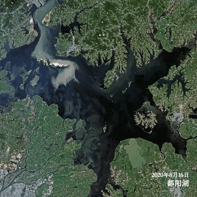 草原|鄱阳湖和洞庭湖现已变成大草原,为何今年这么旱?明年还会这样吗